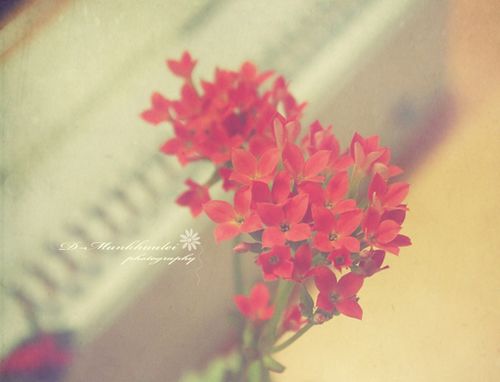 �����ж�����ǽ�赲���ܻ���һ����������������� (9)