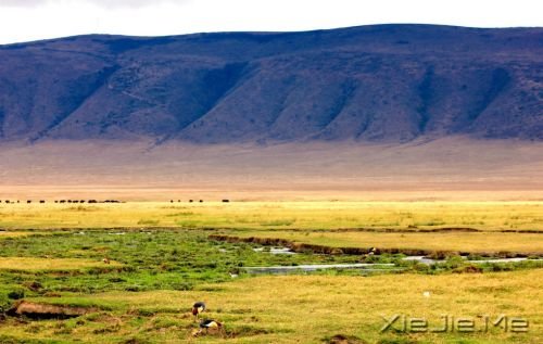 Ӣý�̵�����ʮ����Ȼ�����漣 �й�������ѡ