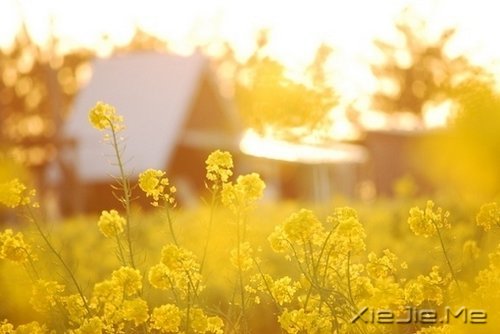 ��Ҫ�������ˣ���Ҫ����Լ� (5)