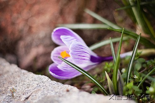 ÿ���˶����Լ�����������ů��֪ (9)