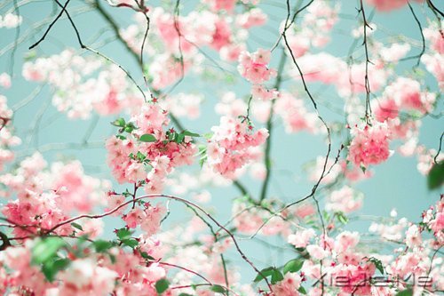 ������ֻ��Ҫһ��������΢Ц (8)