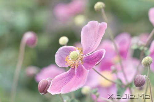 ������������ô��⣬���Լ�������һ��Ҫ���� (9)