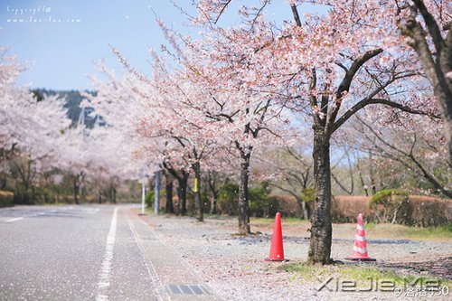 ��Щ�£�ЦЦ���ܹ�ȥ (1)