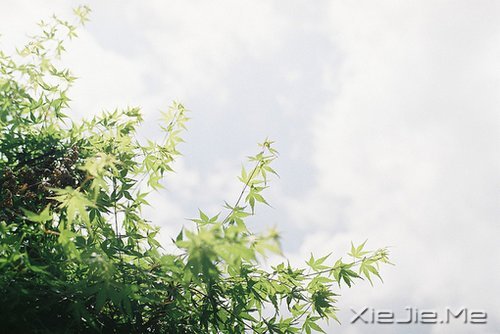 �������а��ţ�����ֻ��˳����Ȼ (6)