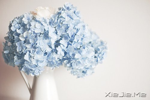 无论好坏,明天都会到来 (5)