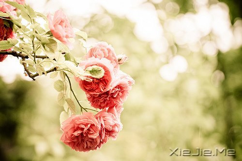 无论好坏,明天都会到来 (8)