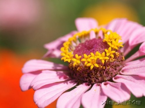 �簲�����һ�����ɣ�ȥ�������� (10)