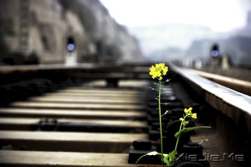 �簲���ֻҪ���룬��ʱ�����Կ�ʼ (11)