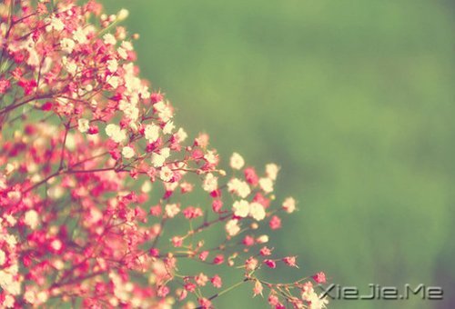 ��������ҵ�������· (4)