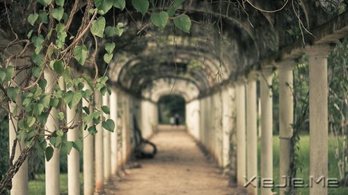 �������Զ�����Ƿ羰�������Ĳ������� (8)