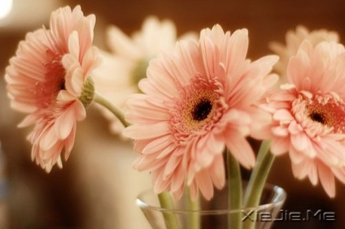 �簲������ƺ����飬����Żᴦ����� (2)