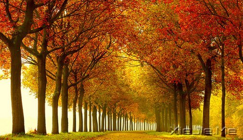 早安心语:过去的就过去了,世界依然美好 (5)