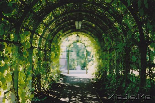 早安心语:过去的就过去了,世界依然美好 (7)