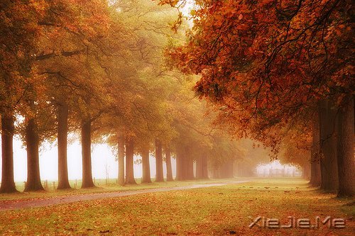 早安心语:过去的就过去了,世界依然美好 (10)