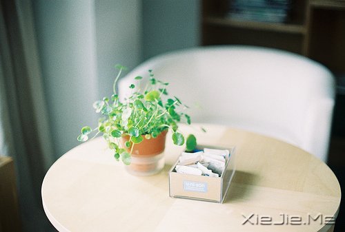 早安心语:面对复杂,保持欢喜 (8)