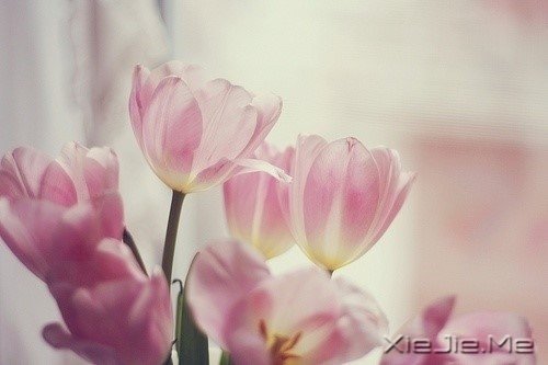 �簲������������ڱ��˵Ĺ���������Լ������� (9)