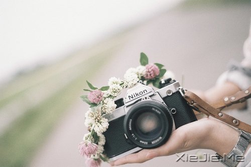 晚安心语:学最好的别人,做最好的自己 (3)