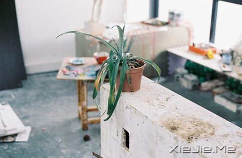 时间不仅让你看透别人,也让你认清自己 (10)