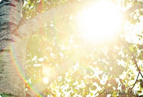 ��ʱ��Ķɿڣ����ǽ��ǹ��� (11)