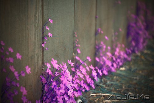 �����������Ҫ�ģ�һֱ�ܼ� (5)