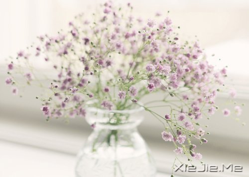 �簲���ʱ���ҧ�ˣ��㲻�߾ͻ������˺� (1)