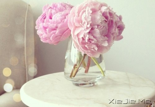 �ʵ��ķ��������������ŵ�ת�� (2)