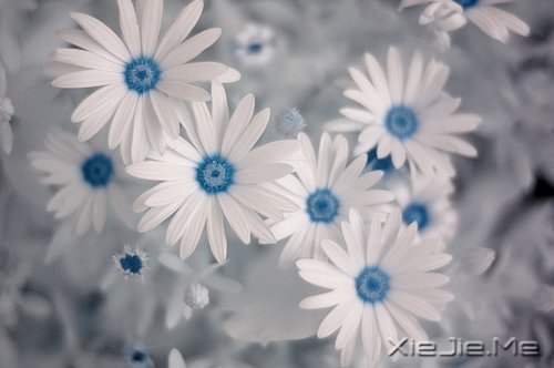 �������Ըϸˮ����ʱ��������� (10)