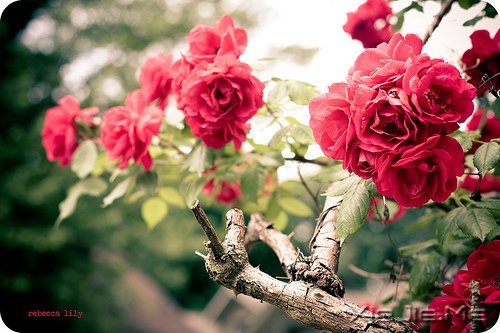 ����������������У����������� (8)