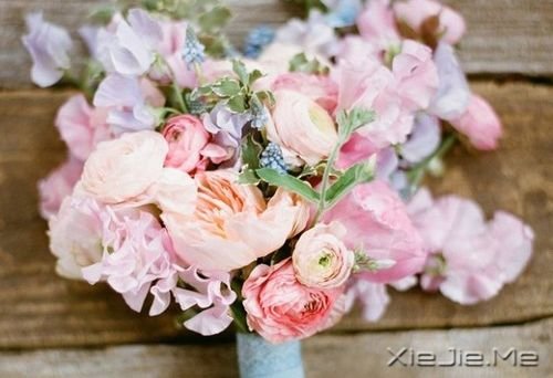 晚安心语:愿你成为自己的太阳 (2)