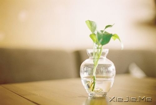 晚安心语:朋友重要的不是数量,而是质量 (1)