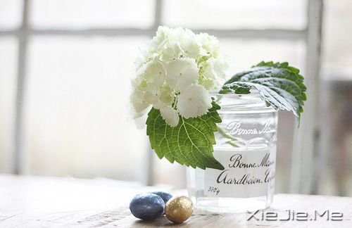 �����������ʱû�м���������Ǿ�����ͷ (2)