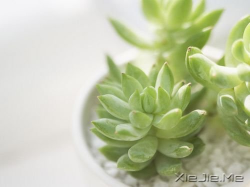 早安心语:路过的快乐,只有自己知道 (2)