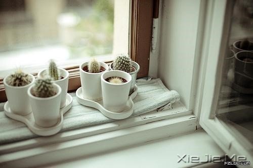 早安心语:路过的快乐,只有自己知道 (6)