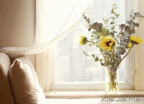 �簲����е�·��Ҫ��ȥ�� (4)