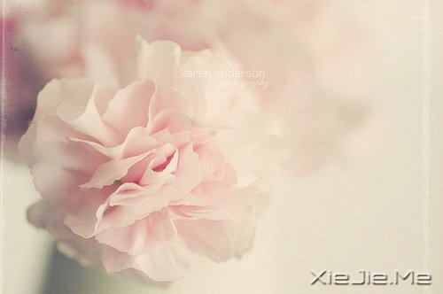 ��������¸����΢Ц��� (5)