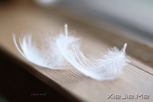 早安心语:生活总会给你第二次机会,叫明天 (1)