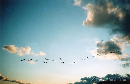 ���������ʲôҲ������������ (1)