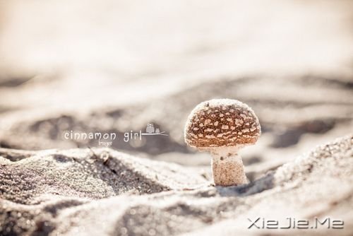 �������ʱ���ǵ��е�����ȥ�ˣ��ز��� (7)