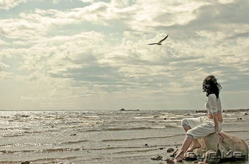 �����������̫͸����ͻ�������Ĺ¶� (6)