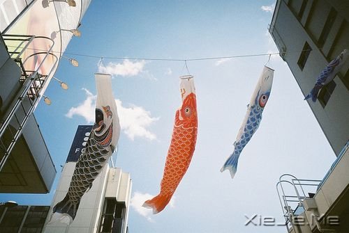 ��������ҵ�Ը���ǣ�һ��˯��Сʱ�� (8)