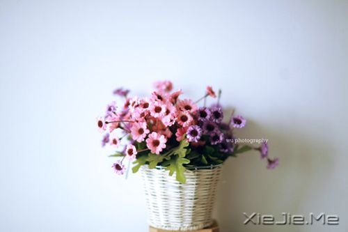 ���������Ц��ȫ�������Ц (1)