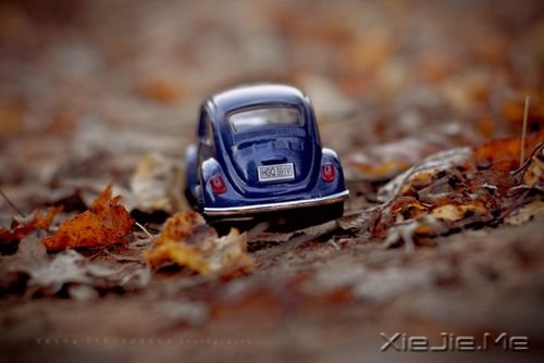 С����ͼƬ (10)