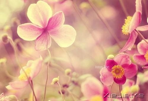 经历一些事,读懂一些人 (5)