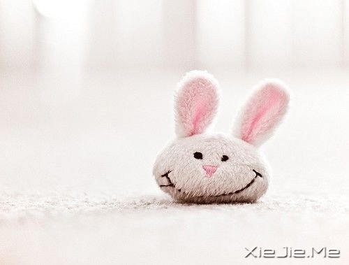 隐晦的日子总敌不过我们阳光的微笑 (1)