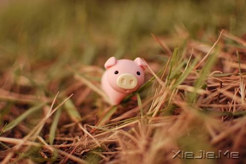 晚安心语:我们要在安静中,不慌不忙地坚强 (10)