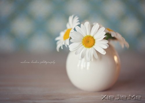 晚安心语:那些回不去的事情,藏在岁月深处 (1)