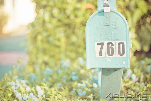 早安心语:用平和的心态来看待世间的一切 (11)