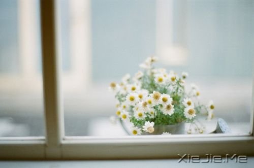 早安心语:单曲循环,其实听的是自己的心情 (2)