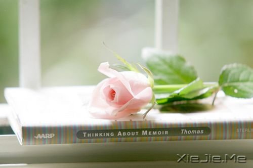 晚安心语:幸福的人在哪儿都幸福 (3)