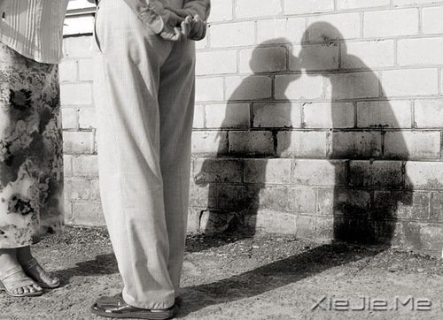 ���֣���������������